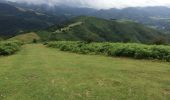 Tour Wandern Ainhoa - Ainhoa tour d’errebi par col des trois croix  - Photo 2