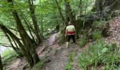 Tour Wandern Florenville - Azy - Photo 4