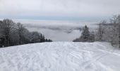 Trail Touring skiing Bussang - La bouloie - Photo 1