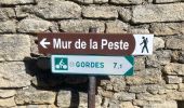 Trail Walking Cabrières-d'Avignon - Cabrières d’Avignon mur de la peste  - Photo 9