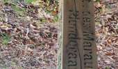 Percorso Marcia Watermael-Boitsfort - Watermaal-Bosvoorde - promenade matinale a boisfort - Photo 7