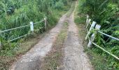 Trail Walking Saint-Joseph - Reco 2 mercy la Lézarde vierge de sois on en boucle  - Photo 4