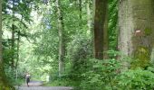 Trail On foot Auderghem - Oudergem - #190715 - Rouge-Cloître, Trois Couleurs, Keizersbron et étangs des Chabots**** - Photo 6