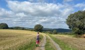 Trail  Ferrières - Ferme de palogne final - Photo 16