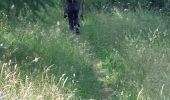 Tocht Stappen Enchastrayes - SUPER SAUZE - COL DES ALARIS - Photo 18