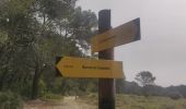 Trail Walking Le Castellet - 20220523_11_pieds_Castellet_Castillon - Photo 4