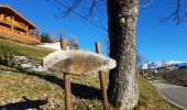 Tour Schneeschuhwandern Manigod - pré à l'ours  - Photo 1