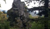 Trail Walking Bourbach-le-Haut - col du schirm - Photo 4