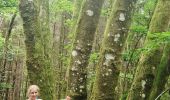 Trail On foot Bouillon - Lannoo GrWandArd 79 Bellevaux de watermolenwandeling (PVDB) - Photo 4