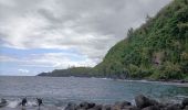 Randonnée Marche Sainte-Rose - La source Anse des Cascades - Photo 1