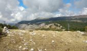 Tocht Stappen Saint-Vallier-de-Thiey - Montagne de Thiey - Photo 20