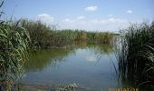 Trail On foot Balatongyörök - Pad-kő - Szentmihály-domb zöld kereszt jelzés - Photo 1