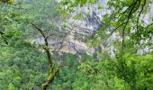 Tocht Stappen Les Planches-près-Arbois - la reculée des planches - Photo 2