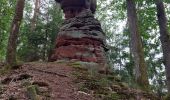Trail Walking Philippsbourg - Le Rothenbourg - Photo 3