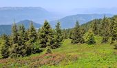 Tour Wandern Crêts-en-Belledonne - LE GRAND ROCHER PAR LE REFUGE DU CRET DU POULET - Photo 17