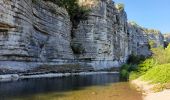 Tour Wandern Berrias-et-Casteljau - gorges de chasselas ardeche - Photo 1