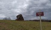 Tour Wandern Belmont - 25-01-25 : Belmont, l'Angle du Bonheur, la Corbière - Photo 7