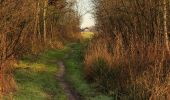 Tour Zu Fuß Steenwijkerland - WNW WaterReijk - Kalenberg/Ossenzijl - gele route - Photo 3