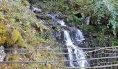 Tocht Stappen Revel - Col du Loup - Col de la Sitre en boucle - Photo 16