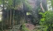 Trail Walking Sprimont - Wikiloc - Aywaille : Château de l Emblève, Château de Florzé, Heid de Gâtes - Photo 5