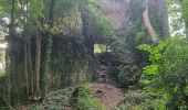 Randonnée Marche Sprimont - Aywaille : La Heyd des Gattes,  Carrière de Goiveux, Chateau de L'Emblève - Photo 5