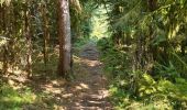 Trail Walking Le Syndicat - depuis Nol balcon de Solem - Photo 6