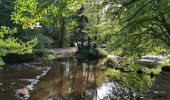 Tour Wandern Daverdisse - Redu ... les deux rives de la Lesse. - Photo 2