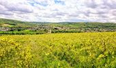 Tour Wandern Château-Thierry - Le chemin de St Colomban en IDF Etape 1 Chateau Thierry - Nanteuil sur Marne - Photo 8