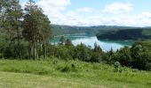 Tour Wandern Maisod - Jura (lac de Vouglans 06-06-2019) - Photo 1