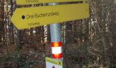 Excursión A pie Goldegg - Goldegg-Schwarzach über Buchenkopf - Photo 2