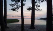 Excursión Bicicleta híbrida Sanguinet - Sanguinet-Le lac à la tombée de la nuit - Photo 13