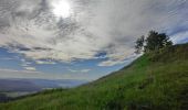 Excursión A pie Mistelgau - Mistelgau Zeubachtal-Rundweg - Photo 10