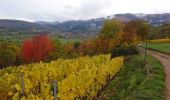 Trail Walking Osenbach - Osenbach - Sentier des Sols - Photo 1