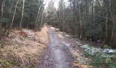 Tocht Stappen Spa - berinzenne . andrimont . chevrouhé . malchamps . berinzenne  - Photo 16