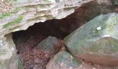 Percorso Marcia Saint-Dié-des-Vosges - Massif de l'Ormont et ses rochers remarquables - Photo 11