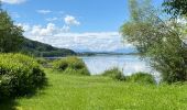 Percorso Marcia Seekirchen am Wallersee - Le tour du Wallersee - Photo 9