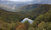 Tour Wandern Büssing - Source de la Moselle - Col de Bussang - Cuisine du Diable - Tête des Perches avec vue Lac des Perches - Photo 19