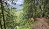 Tour Wandern Chamonix-Mont-Blanc - J8 - Cascade du Dard - Photo 5