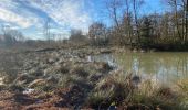 Tour Wandern Gerpinnes - Beau soleil d’hiver - Photo 3