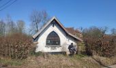 Tour Wandern Gooik - Oetingen - Photo 6