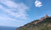 Tocht Stappen Port-Vendres - les batteries . collioure . fort sant elme . port vendres . cap gros - Photo 16