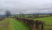 Randonnée Marche Theux - theux . hodbomont . chincheu . château de l ourlaine . retour via le wayot  - Photo 13