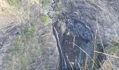 Trail Walking Saint-Paul - Canalisation des Orangers - Ilet des Orangers - Gite du Cirque - Photo 8
