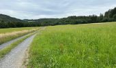 Tour Wandern Feitweiler - Tintange 25,3 km - Photo 2