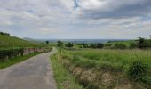 Tour Wandern Reichenweier - De Riquewihr à Hunawihr  - Photo 2