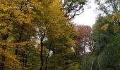 Tour Wandern Neupré - Plainevaux promenade des géants  - Photo 1