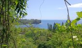 Trail Walking Sainte-Rose - La source Anse des Cascades - Photo 17