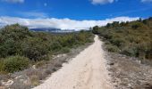 Trail Walking Flassan - Sentiers sauvages de la Combe Ripert - Photo 5