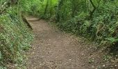 Tour Wandern Tréméven - Boucle de St Jacques à Tréméven,22 - Photo 7