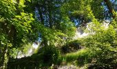 Tour Wandern Dambach - Dambach - châteaux du Bernstein, de l'Ortenbourg et du Ramstein - Photo 7